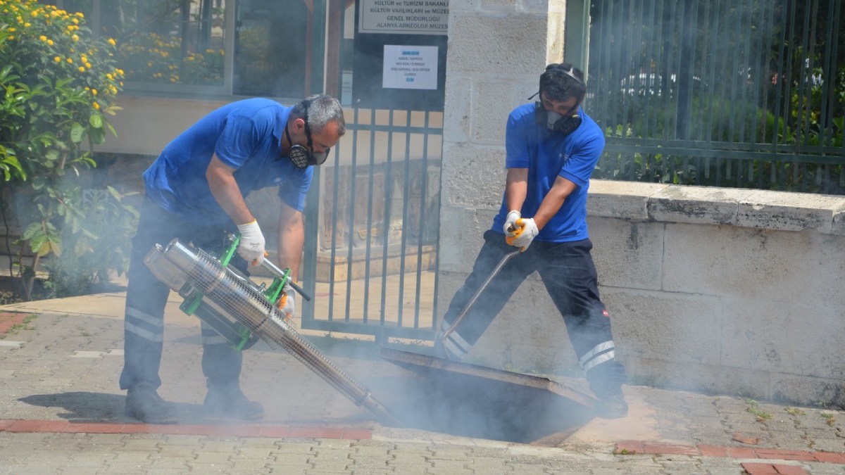 Antalya’da sinek ve haşerelere karşı kapsamlı çalışma