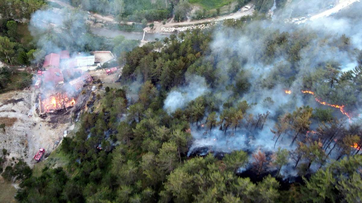 Kastamonu'da evde başlayan yangın ormana sıçradı: 6 hektarlık alan zarar gördü