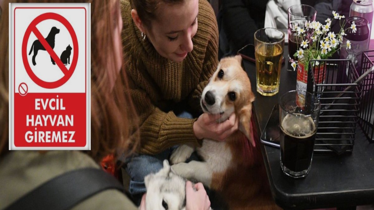 Köfteci Yusuf'un kararı zorunlu oluyor: Restoran, kafe ve açık alanlara evcil hayvan girişi tamamen yasaklanıyor