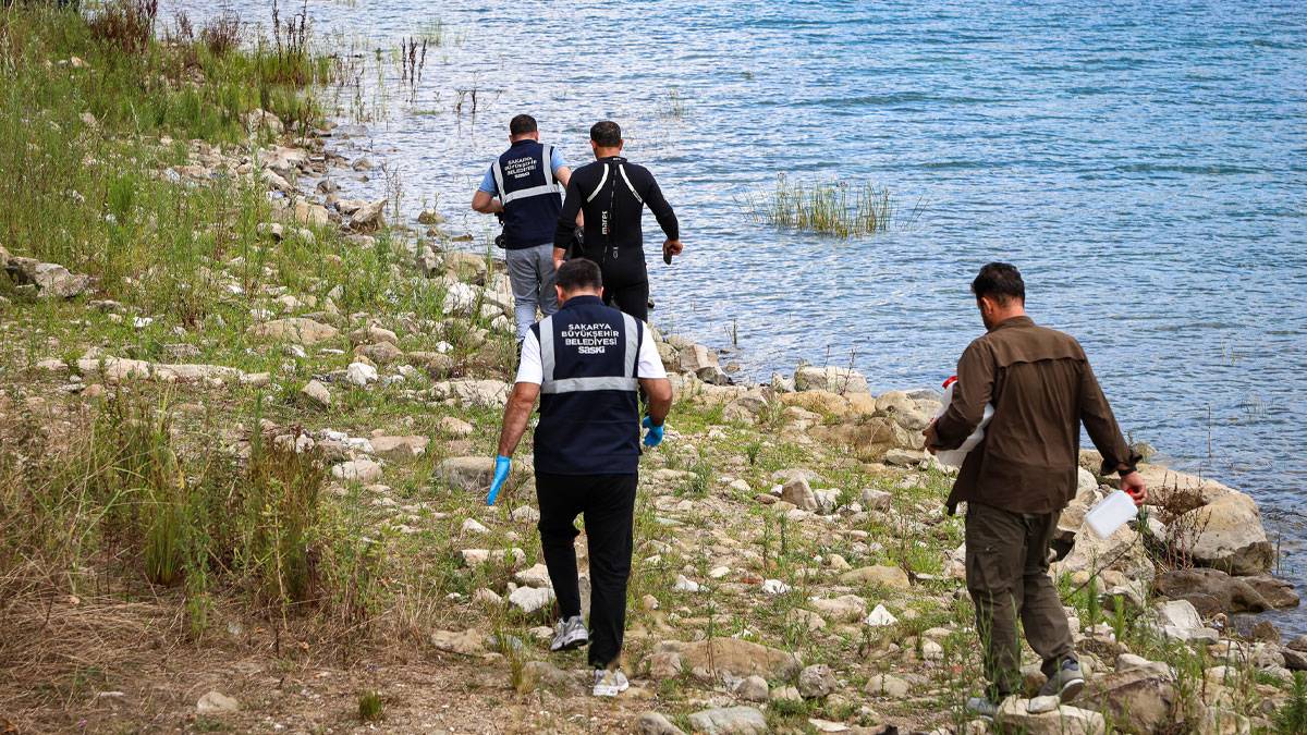 Sapanca Gölü'ndeki "pamuksu" oluşumun nedeni belli oldu