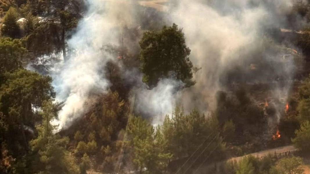 Antalya'da ormanlık alanda yangın
