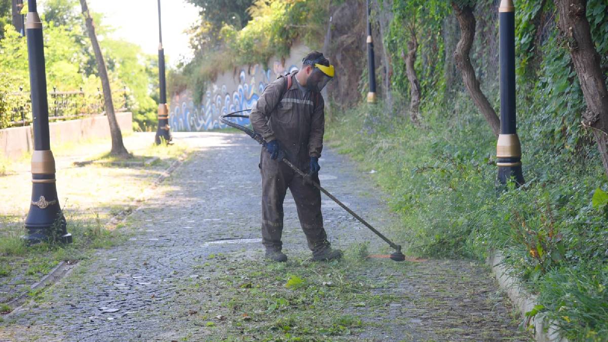 Giresun Belediyesi ekipleri çevre düzeni için sahada