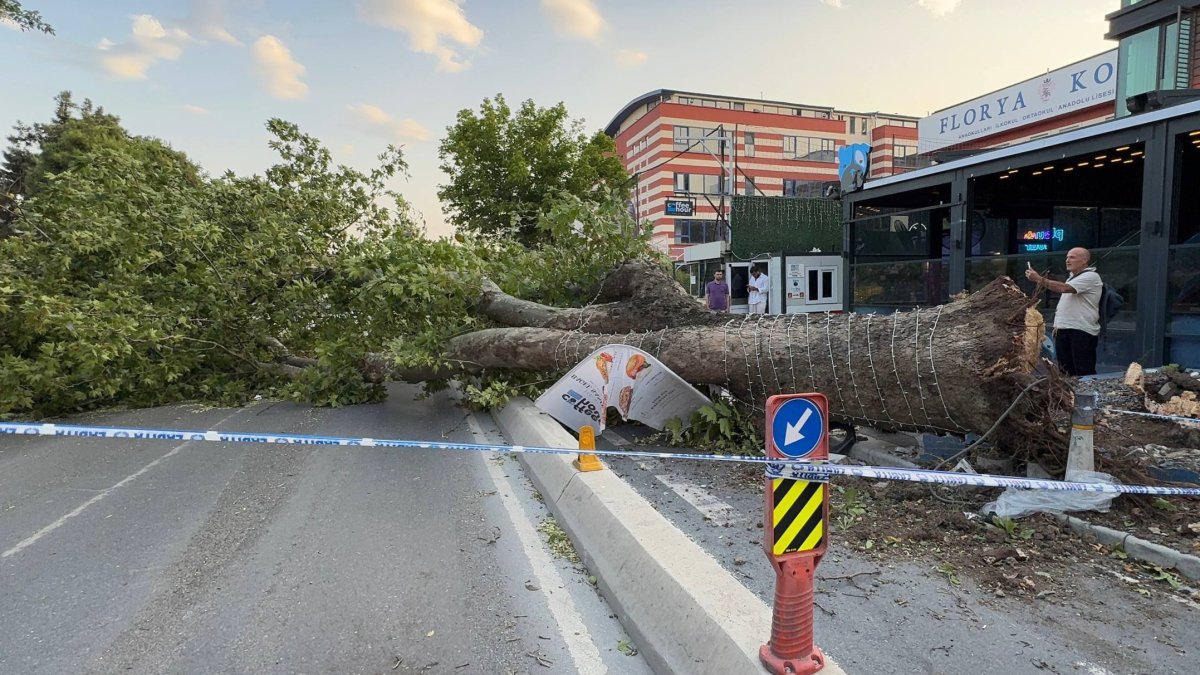 İstanbul'u vuran fırtına hayatı felç etti: Çatılar uçtu, asırlık ağaçlar devrildi