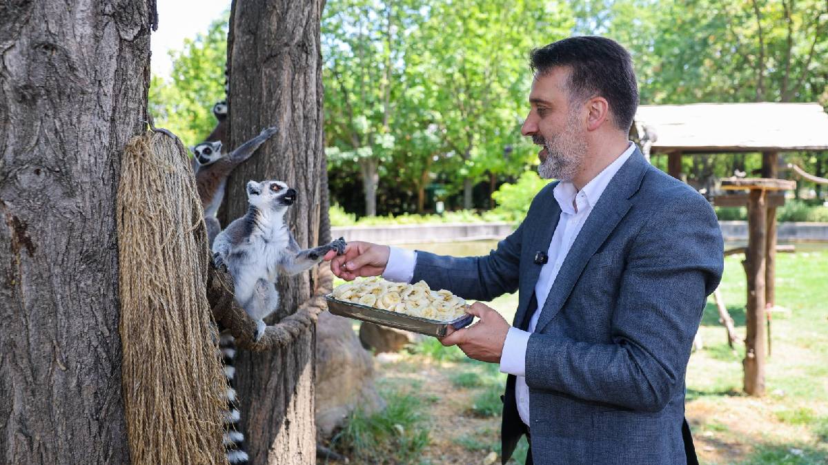 Başkan Vekili Biba’dan Hayvanat Bahçesi’ne ziyaret