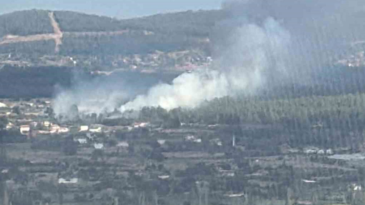 Muğla’da orman yangını