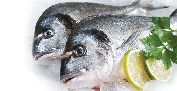 Sağlıklı yaşam balıktan geçer