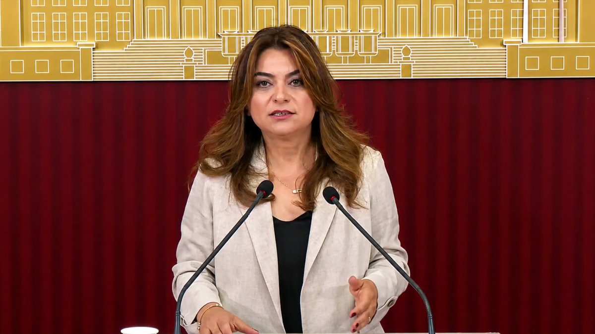 DEM Partili Koçyiğit: Çerçeve yasa Meclis kapanmadan çıkacak