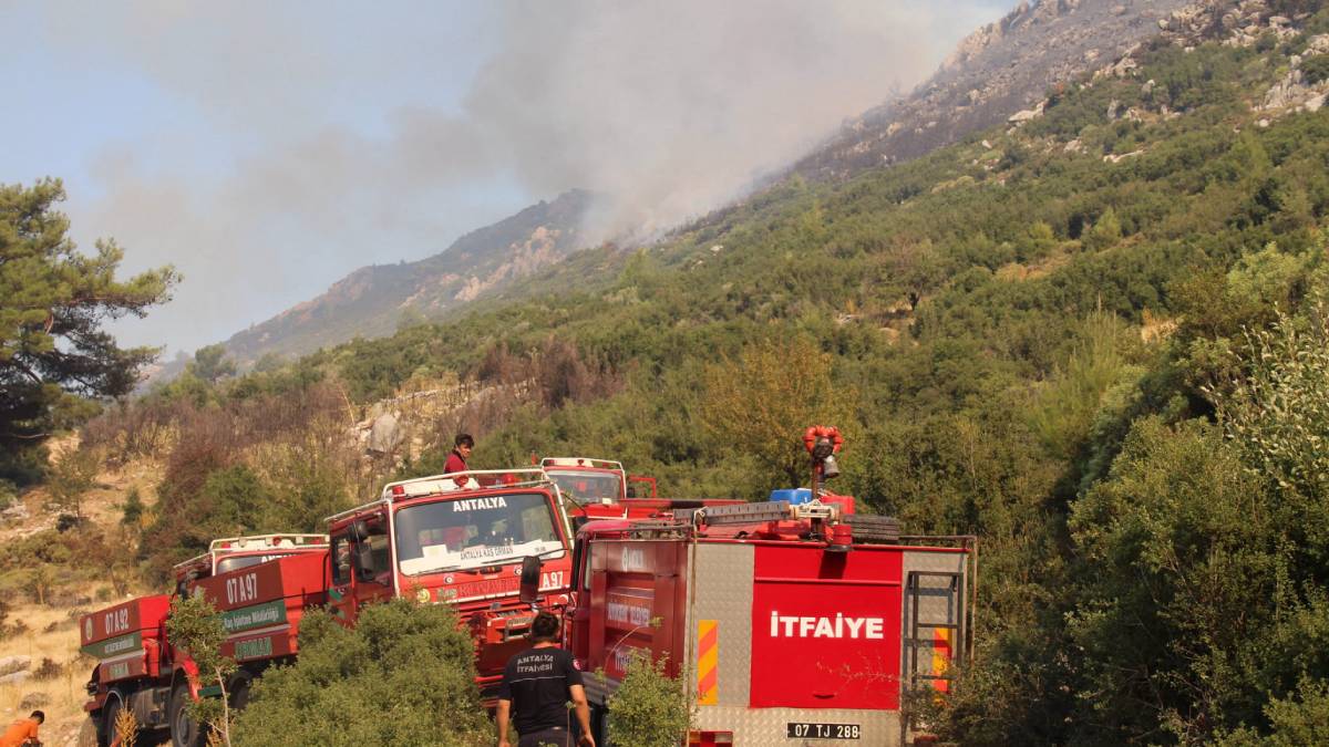 Büyükşehir ekipleri orman yangınına müdahale ediyor