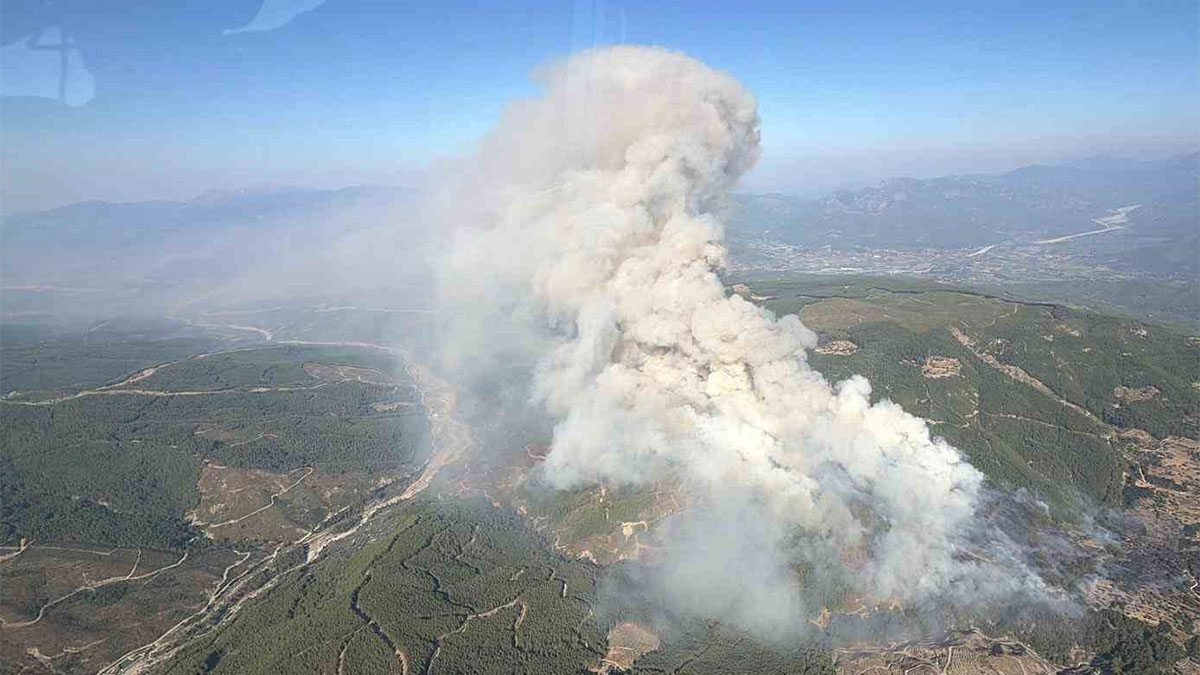 Muğla'da orman yangını! ! Çok sayıda ekip sevk edildi