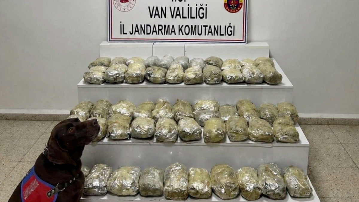 24 ilde uyuşturucu operasyonu: 80 şüpheli tutuklandı