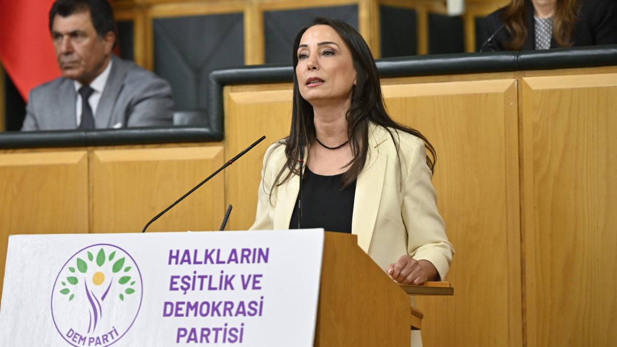Hatimoğulları'ndan 'çerçeve yasa' için 'son düzlük' açıklaması: 'İmralı ziyaretinde oluşan mutabakat yasaya yansımalı'