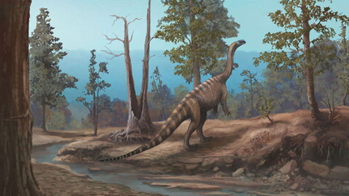 Zimbabve’de 210 milyon yıllık yeni dinozor türü keşfedildi