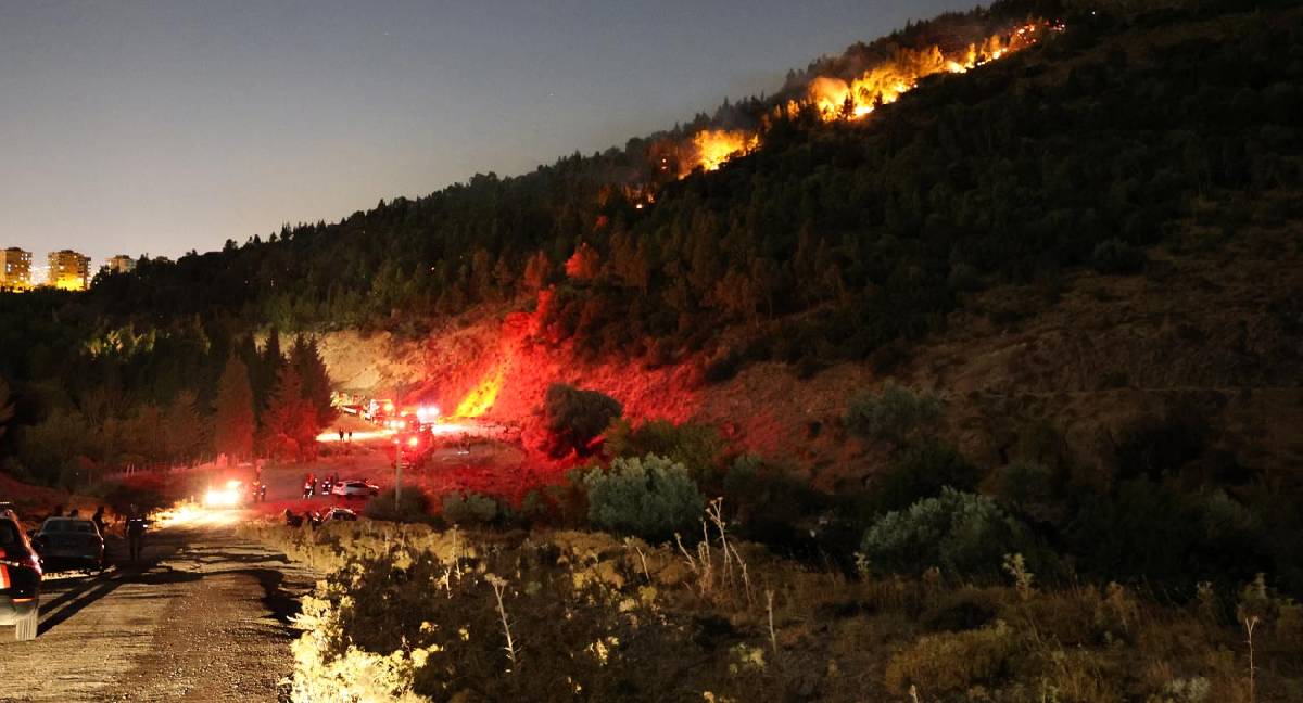 İzmir'de Bornova'da orman yangını