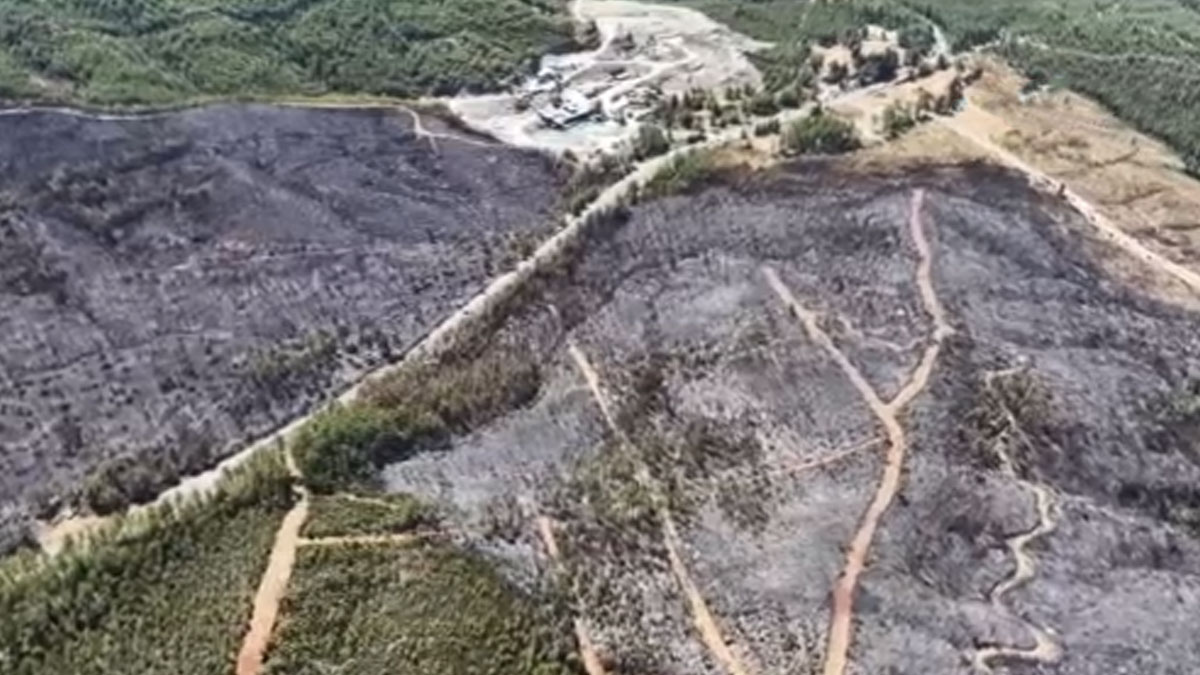 Seydikemer’de yangının ardından kalan tahribat havadan görüntülendi
