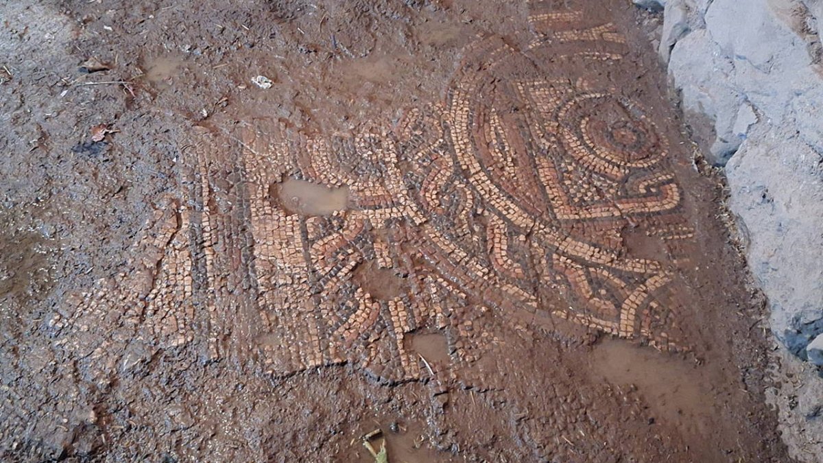 Mardin'de yasadışı kazı ve tarihi eser operasyonu: 1500 yıllık tarihi mozaik ele geçirildi