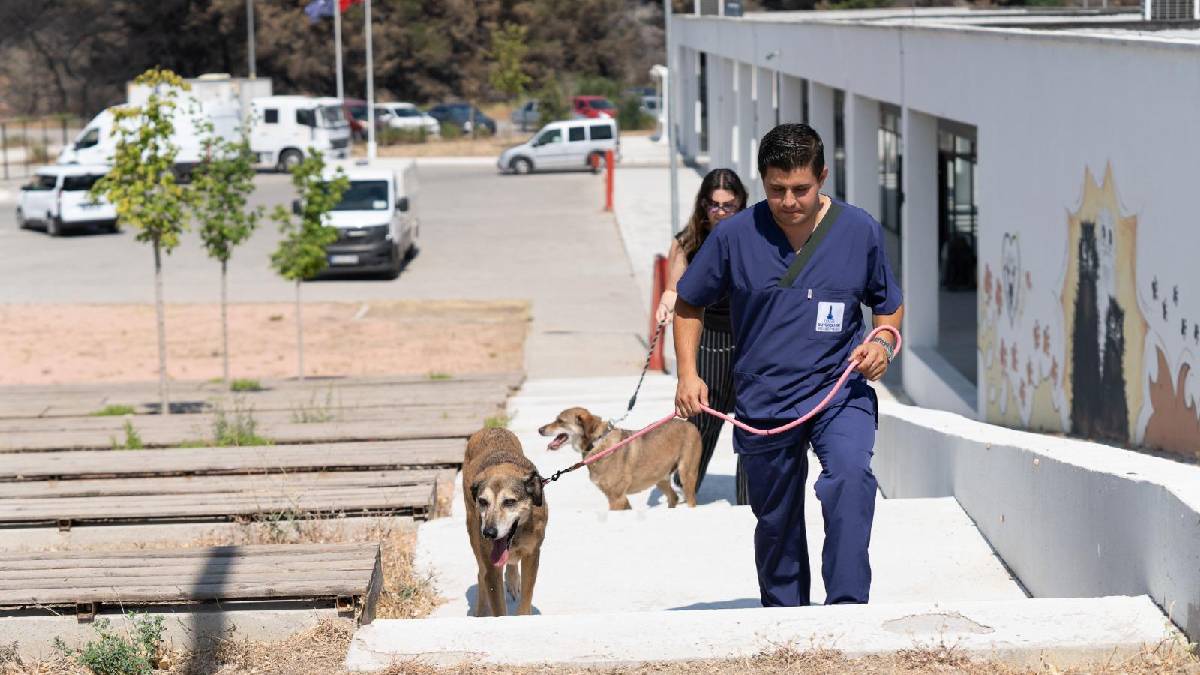Bir proje, üç dost, hiç kopmayan bağ: Şeker, Tarçın ve Salça ekip arkadaşlarına yeniden kavuştu