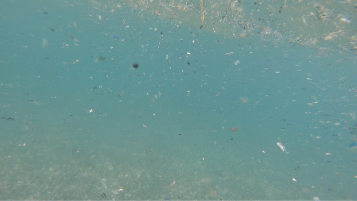 Prof. Dr. Gökoğlu'ndan Konyaaltı Plajı uyarısı: Deniz yüzeyindeki parçacıklar mikroplastik