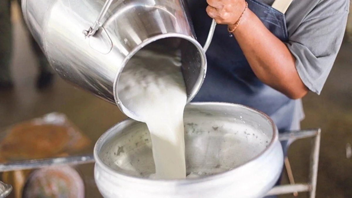 TÜSEDAD: Çiğ süt üretim maliyeti temmuzda 26,87 TL'ye geriledi
