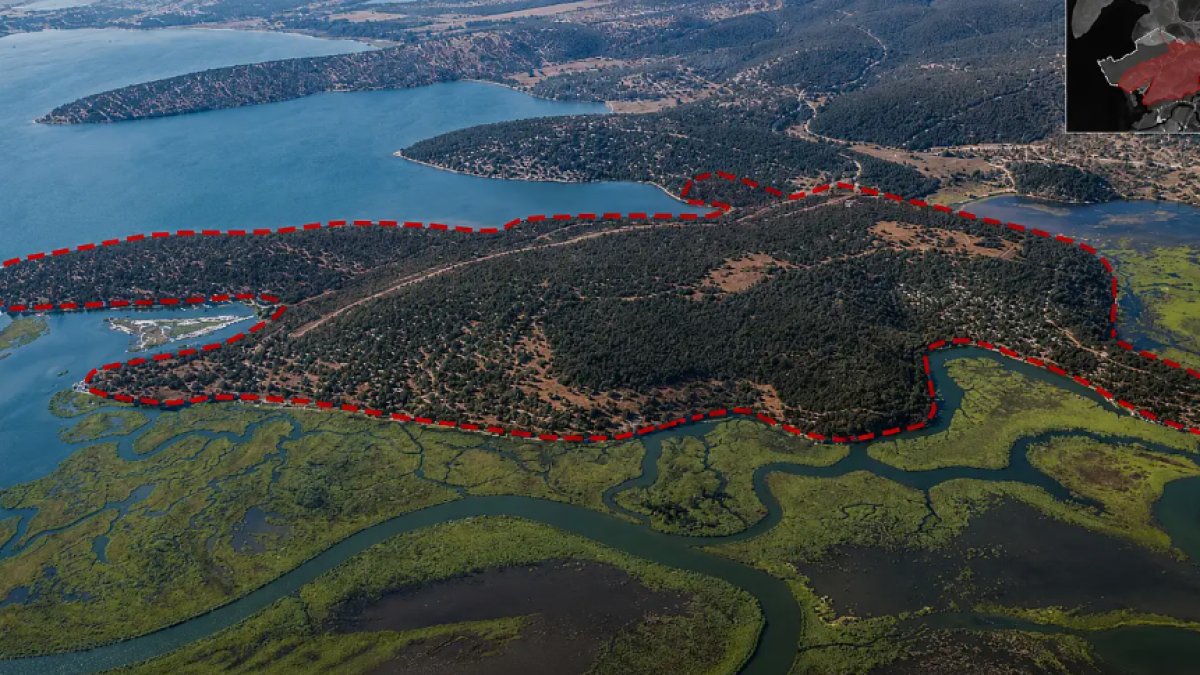 Fenerbahçe Adası nerede, gerçekte var mı? Muğla Milas'ta 1907 konutluk dev "Fenerbahçe Projesi" görücüye çıktı
