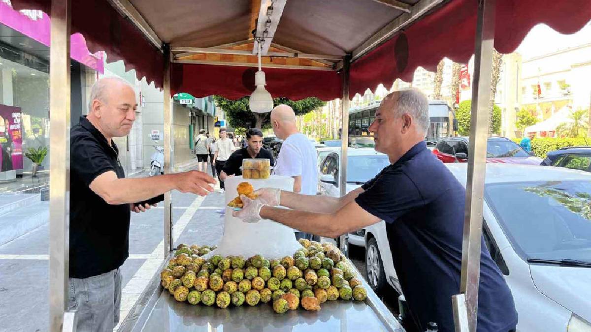 Buz kalıpları arasında soğutuluyor doğal serinlik oluyor! Tezgaha indiği gibi bitiyor