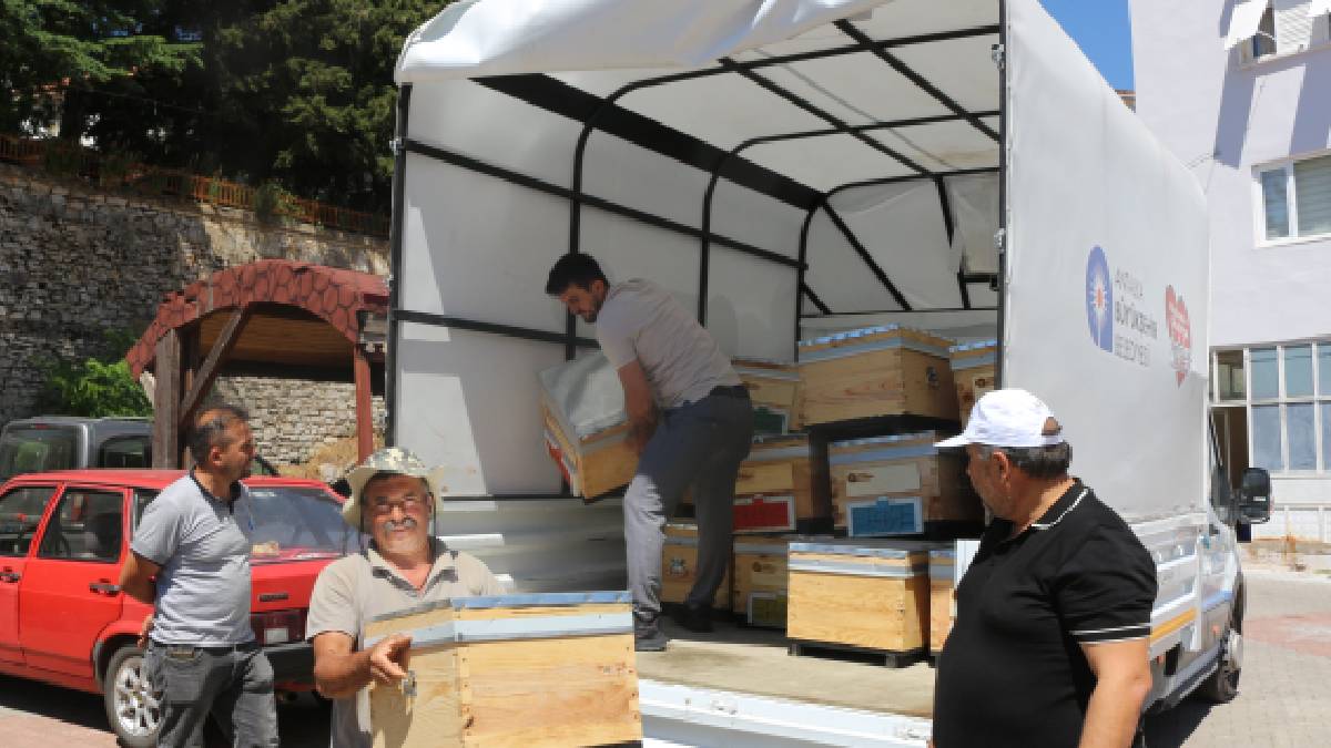 Büyükşehir'den arıcılara bereket kovanı desteği: Gündoğmuş ve İbradı'da da kovanlar teslim edildi