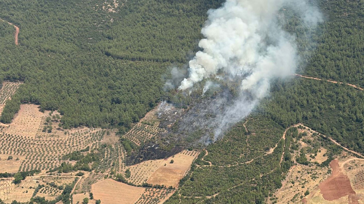 Muğla’da orman yangını