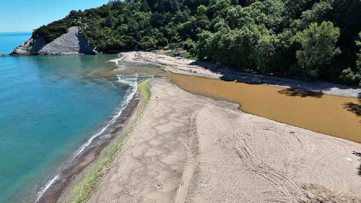 Bir tarafı Bartın’da bir tarafı Kastamonu’da! Bu plaja gelen 10 adımda şehir değiştiriyor