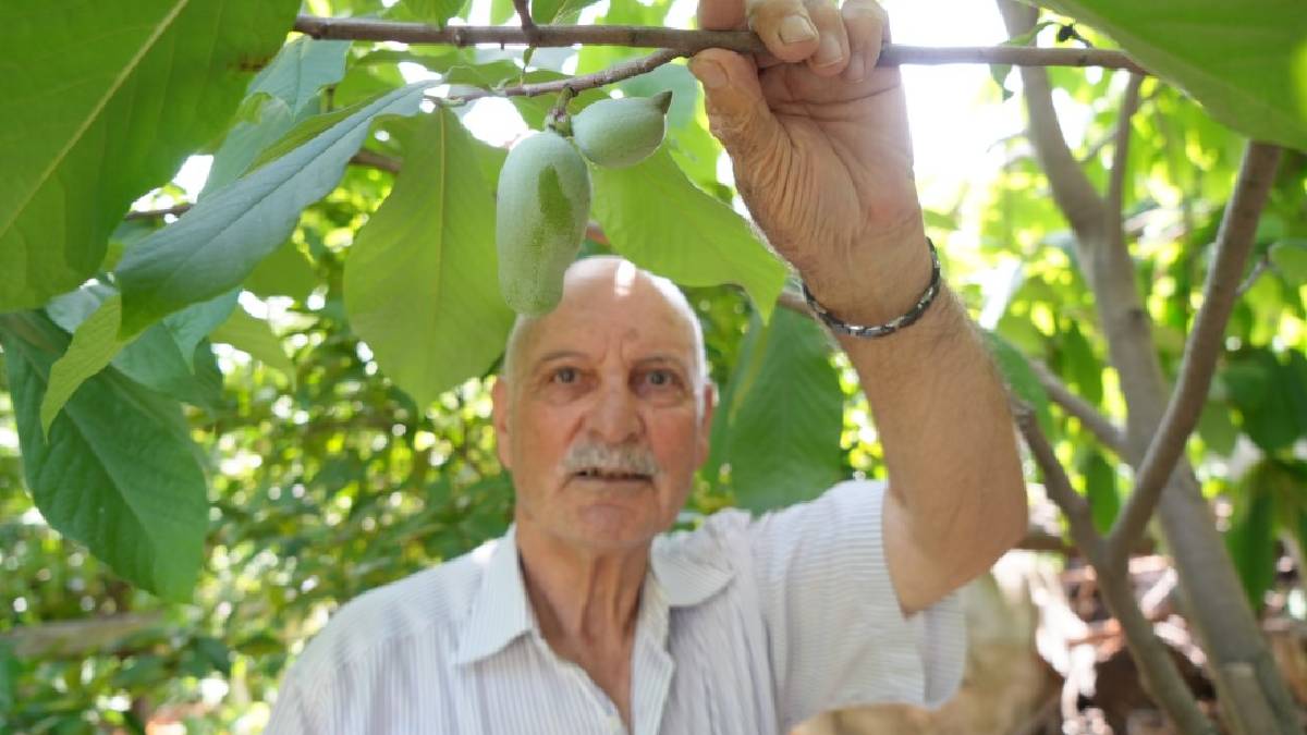 3 kıta ve 50 farklı ülkeden Samsun’a getirdi, dünya bahçesi kurdu! 120 çeşidi bir arada üretiyor