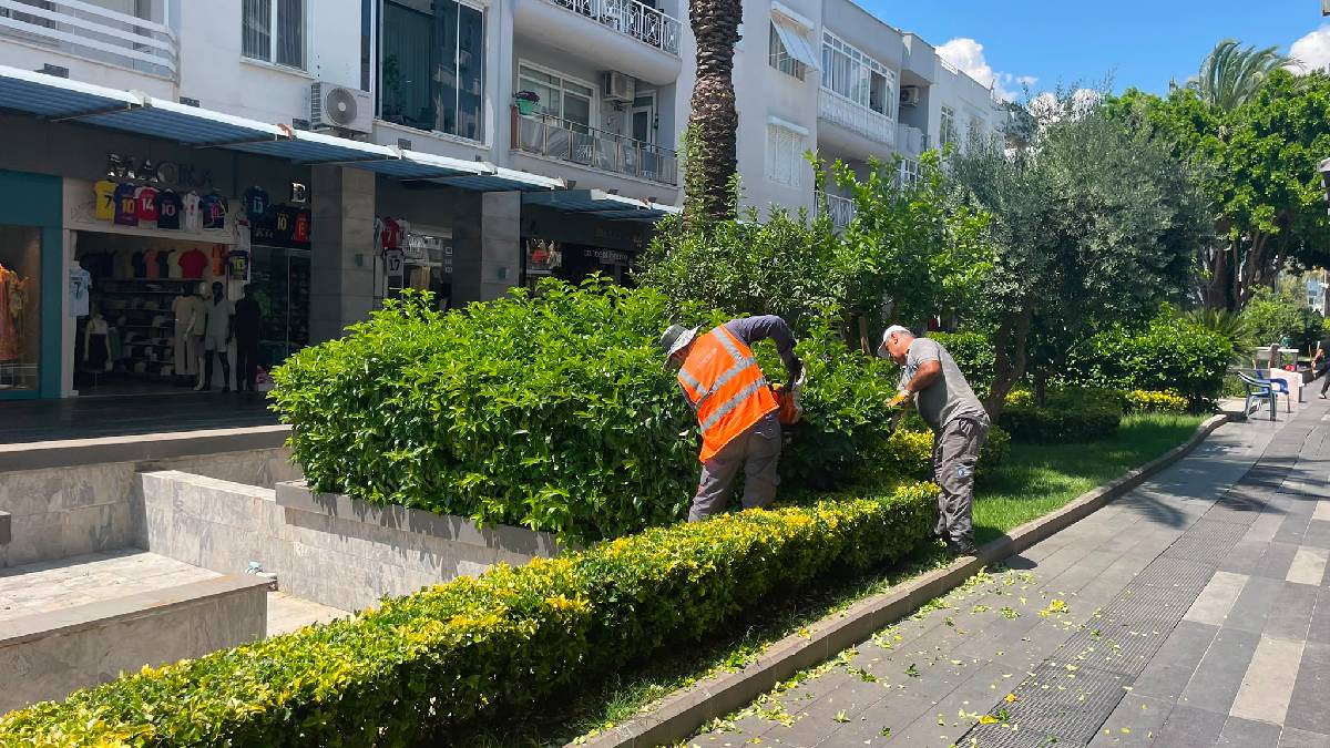 Büyükşehir ekiplerinden Kemer Liman Caddesi'nde çalışma