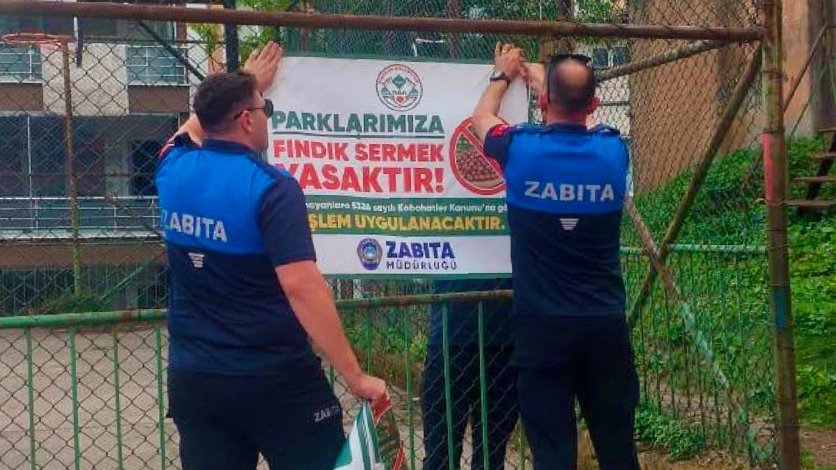 Giresun Belediyesinden fındık sezonu öncesi uyarı