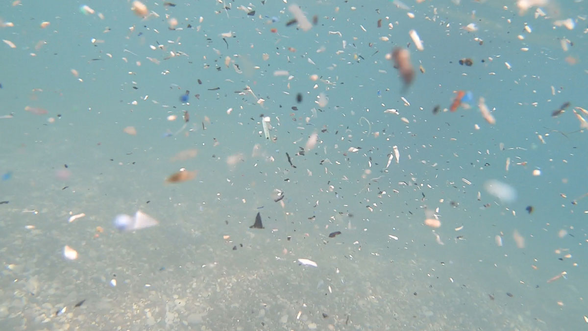 Antalya kıyılarında mikroplastik alarmı: Canlıların ölümüne yol açabiliyor