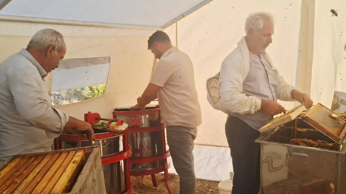 2.500 rakımlı Türk Dağı eteklerinde mesai başladı! Kovanlar açıldı hasat için kollar sıvandı