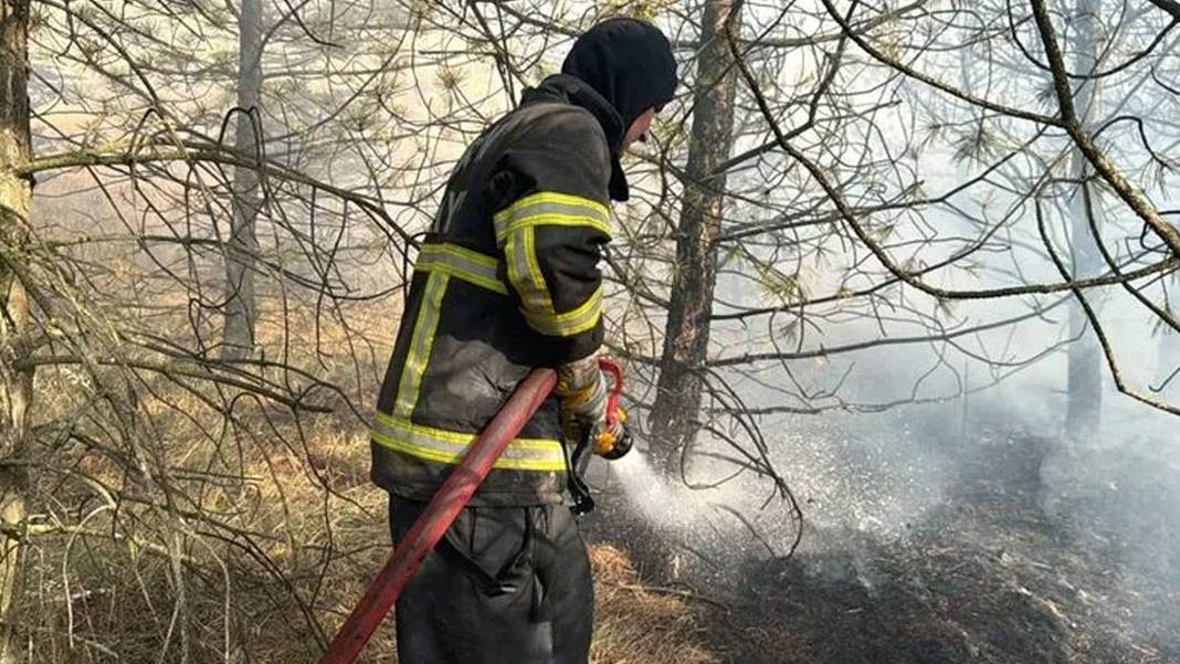 Çorum'da ağaçlık alanda yangın