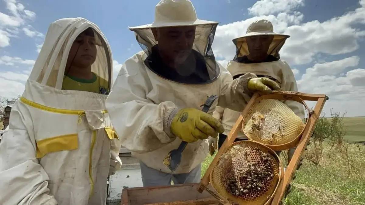 Kilosu 2.500 TL’yi gördü! 2026 sezonu üreticinin umudu oldu
