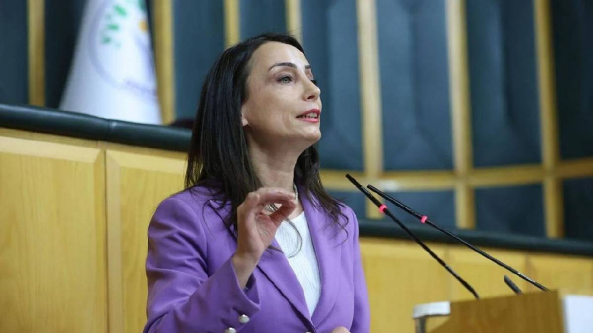DEM Parti'den 'çözüm kanunu' açıklaması: Özel ve 35 YENİ Partili vekile teşekkür