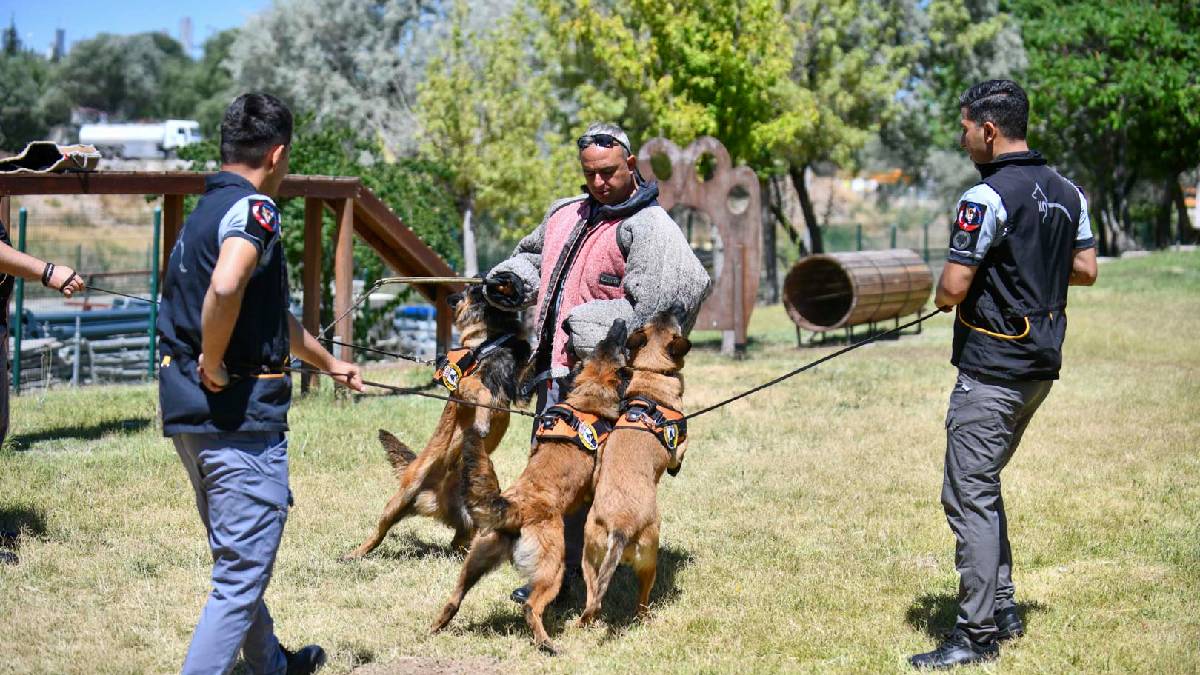 ABB’nin K9 ekipleri Başkent’te görev başında: Emekli olanlar yaşamlarını güvenli şekilde sürdürüyor