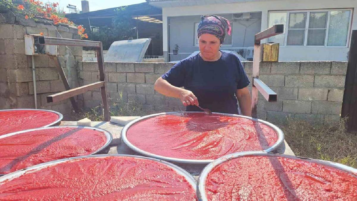 Yaz sıcakları fırsata çevrildi imece usulü hazırlık başladı! Kışın bol bol tüketilecek