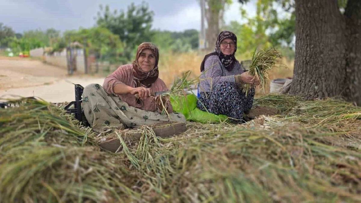 Ocak ayında toprakla buluştu üretim mesaisi hareketlendi! Balıkesir’de emek konuşuyor
