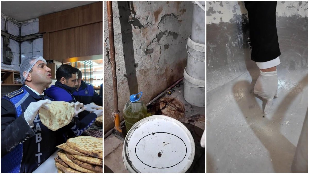 Hatay'da hijyen kurallarına uymayan fırın mühürlendi: Tarihi geçmiş mayalar, paletlerin altında fare yuvaları...