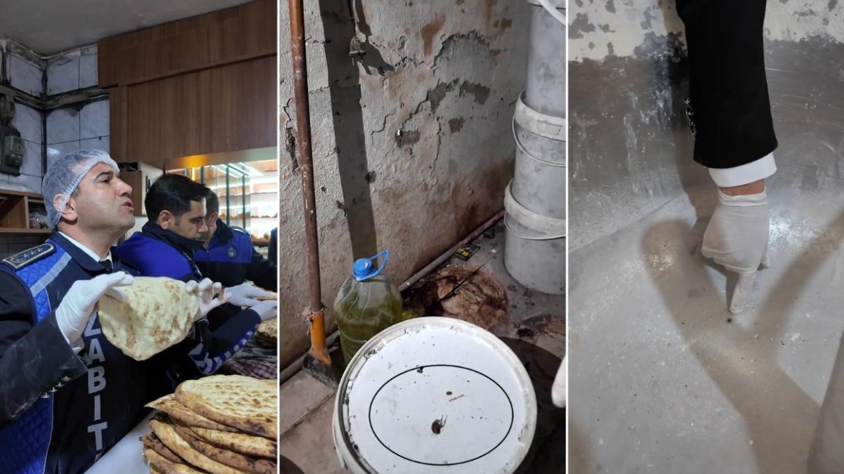 Hatay'da hijyen kurallarına uymayan fırın mühürlendi: Tarihi geçmiş mayalar, paletlerin altında fare yuvaları...
