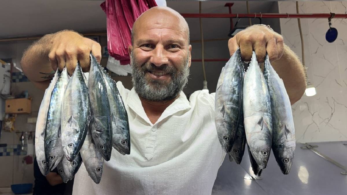 Sezonun ilk palamudu tezgahta! Adeti 200 TL’den satışa çıktı