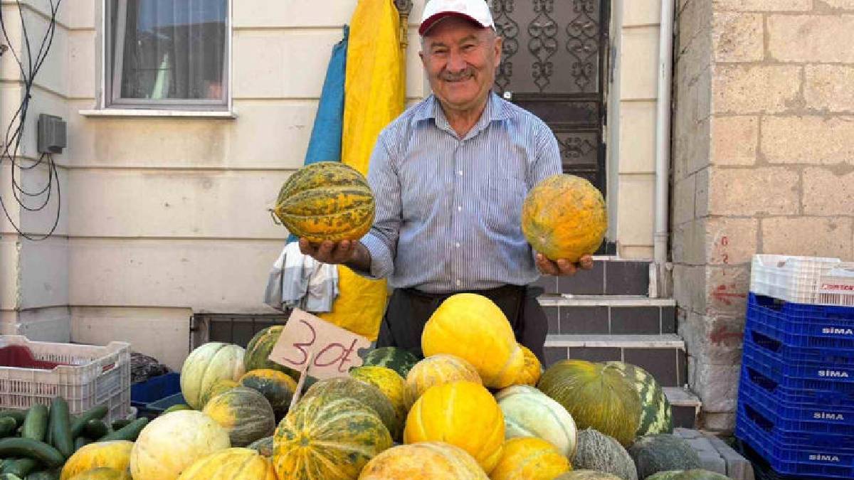 Satışa çıktı, kokusu pazarı sardı! Kışlademirli kavununda sezon başladı