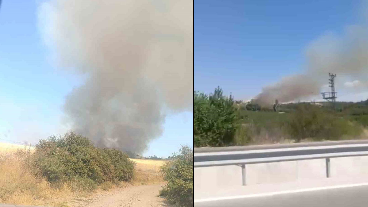 Çanakkale'de orman yangını