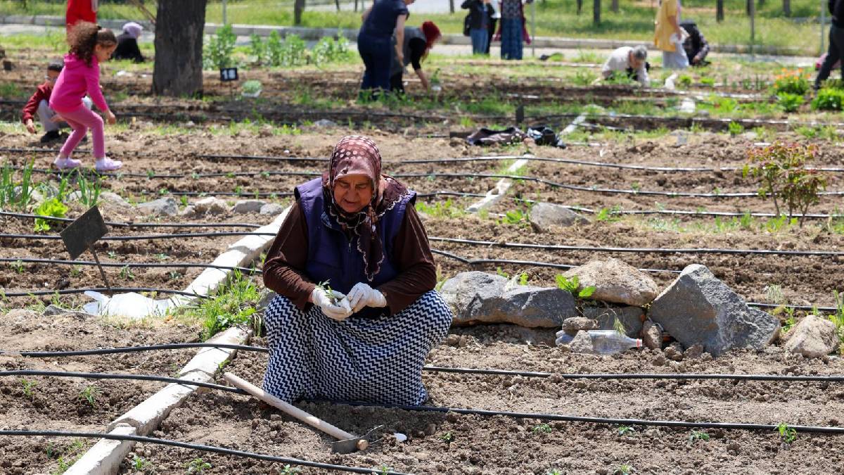 Mahalle Bostanları’nda yaz hasadı