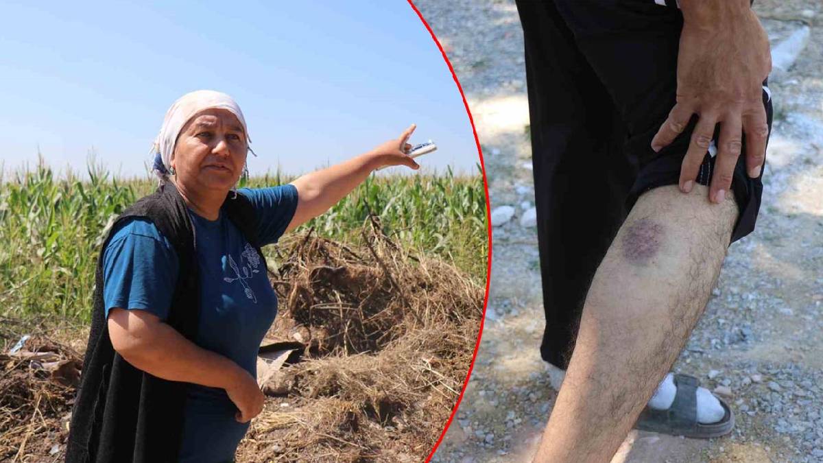 Sakarya’da mahalleliye “Gulyabani” kabusu: 6 aydır geceleri nöbet tutuyorlar