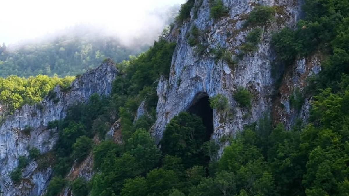 Ormanın derinliklerinde gizli kalan bir dünya! Sinop’un cenneti ziyaretçi akınına uğruyor