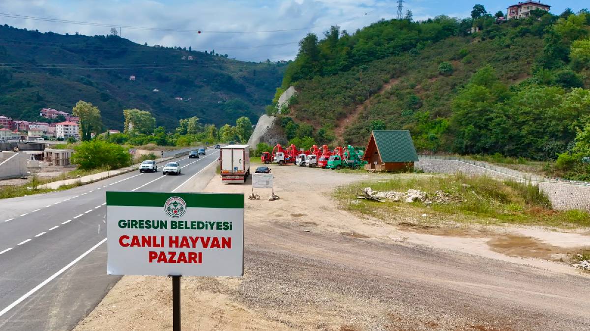 Giresun Belediyesinden patozlar için yeni düzenleme