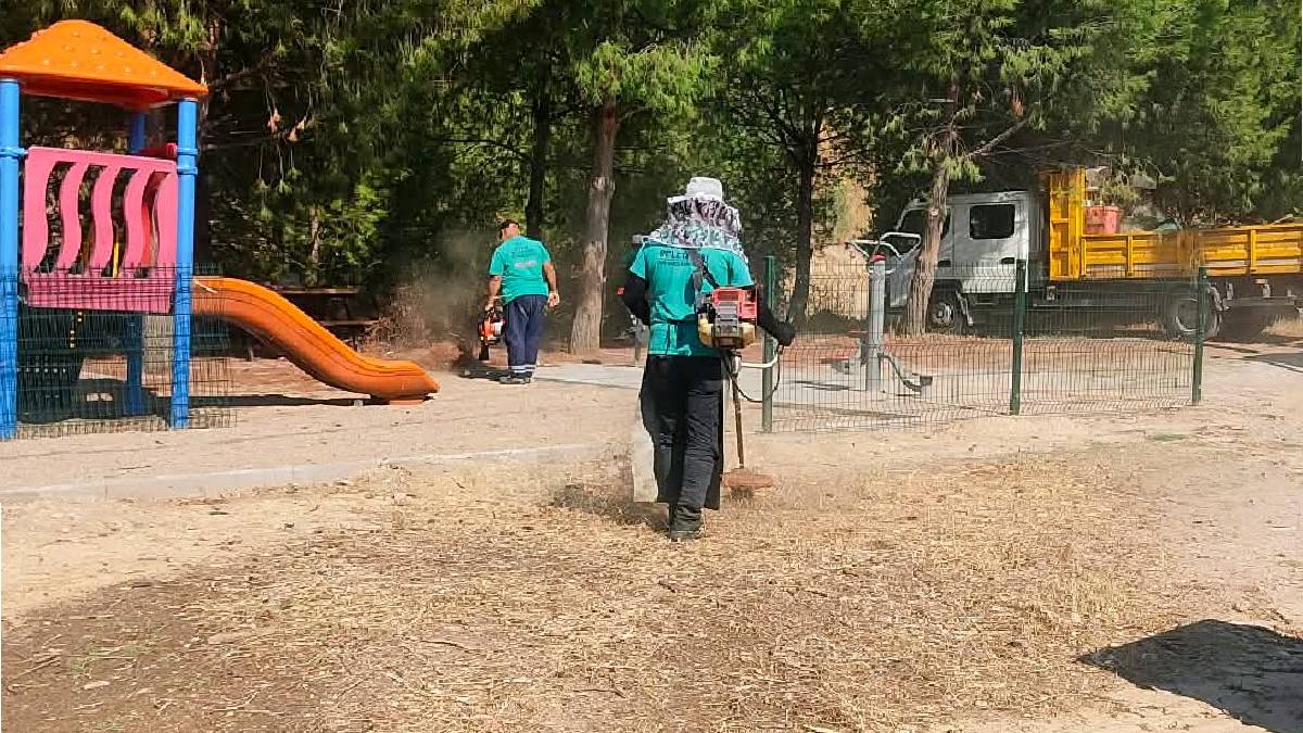 Efeler’de yeşil alanların bakımı aralıksız sürüyor