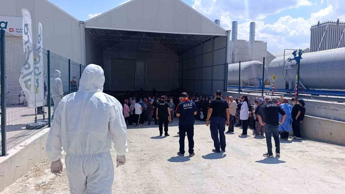 Domates serasında toplu zehirlenme: Yaklaşık 40 kişi etkilendi