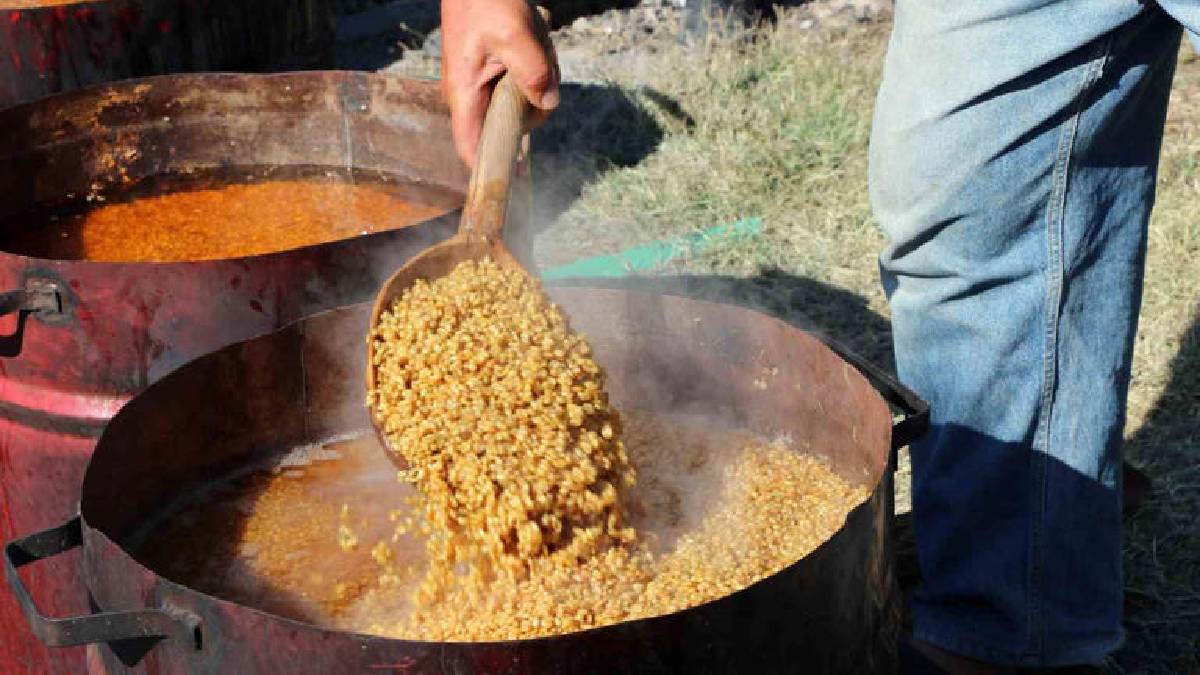 Hasat tamamlandı hazırlık başladı! Erzincan’da kazanlar fokur fokur kaynıyor